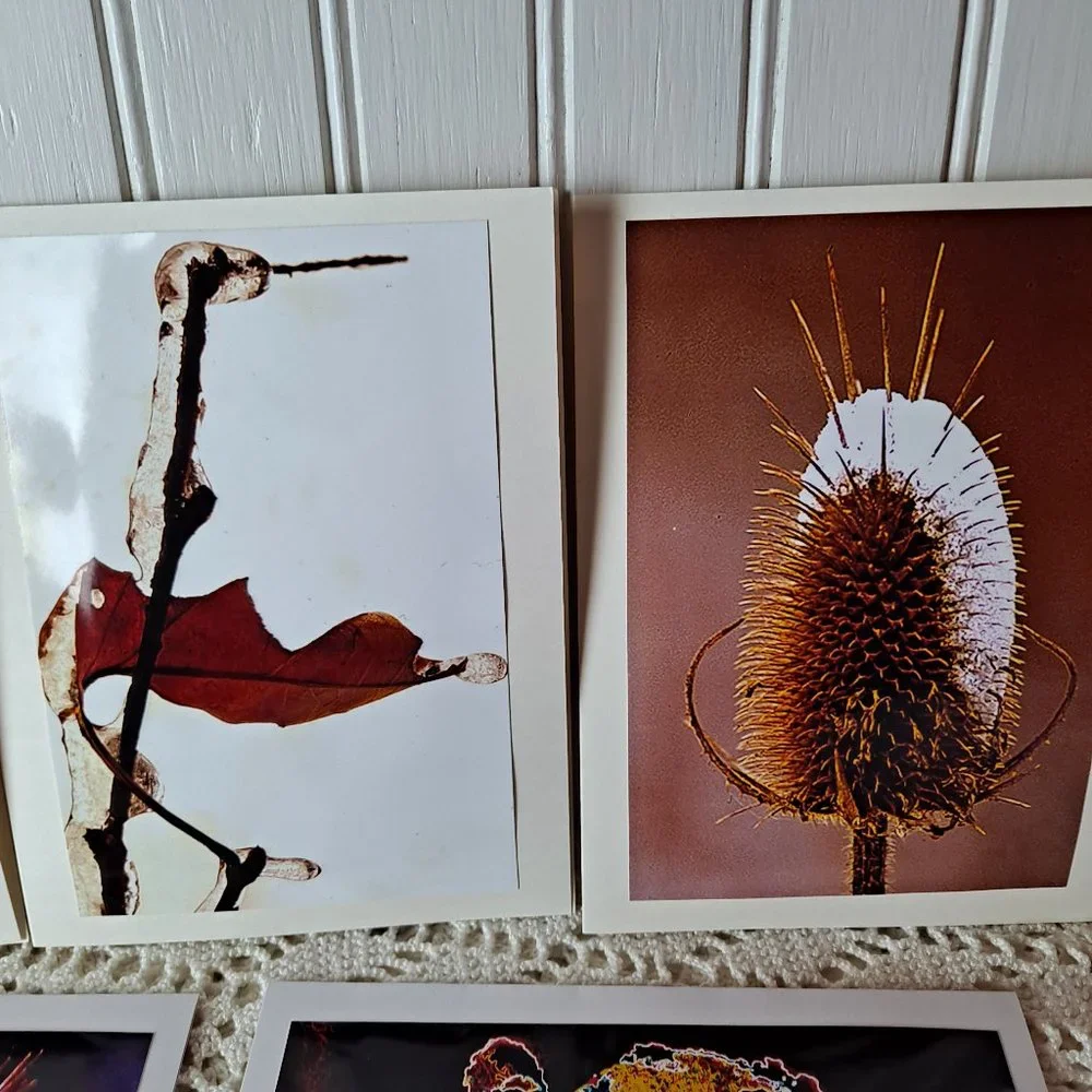 10 Original Photographs All Occasion Greeting Cards